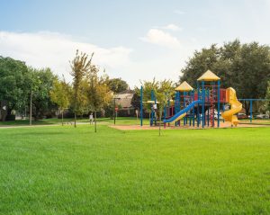 A playground at a park on a clear sky day.