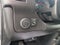 2020 Chevrolet Express 2500 Work Van Cargo