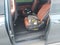 2024 Kia Carnival SX