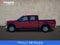 2020 Ford F-150 XLT FX4