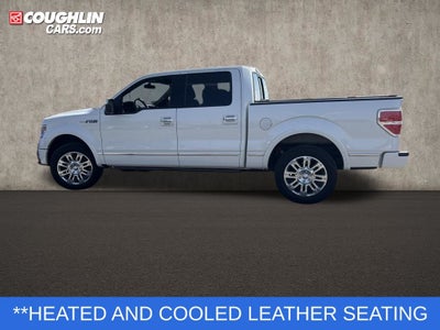 2013 Ford F-150 Platinum
